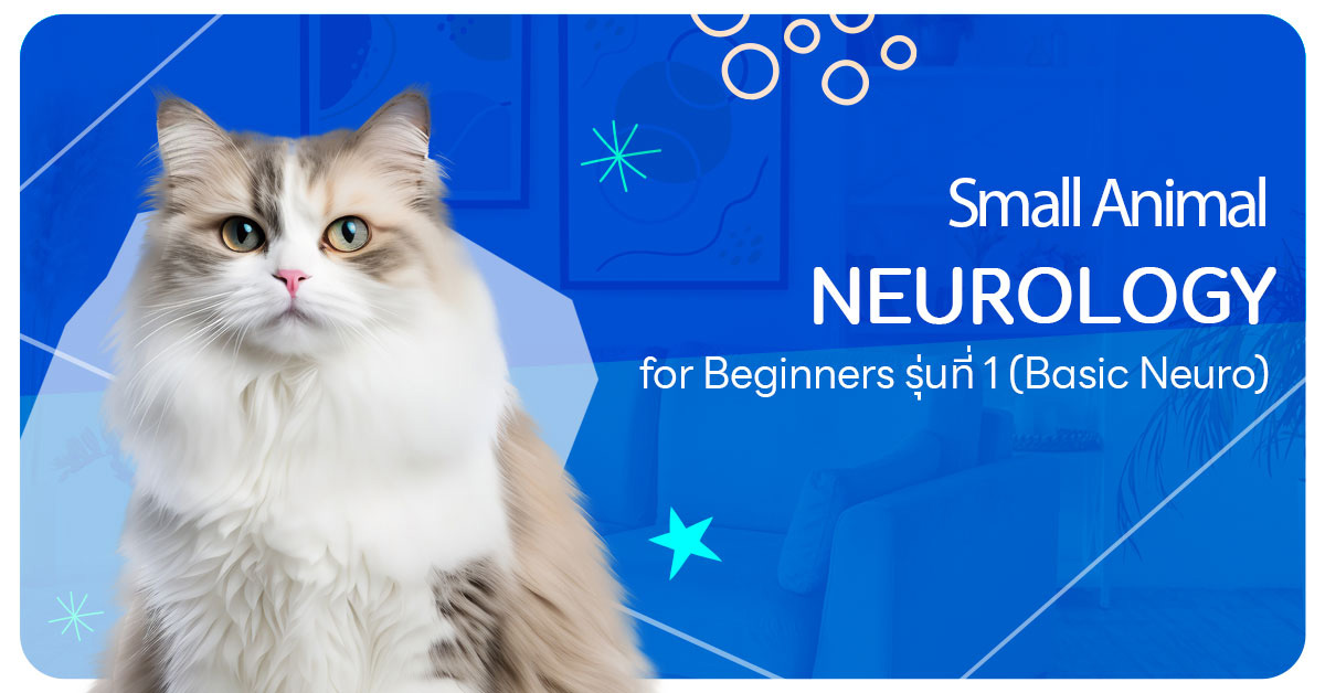 Small Animal Neurology for Beginners รุ่นที่ 1 (Basic Neuro)
