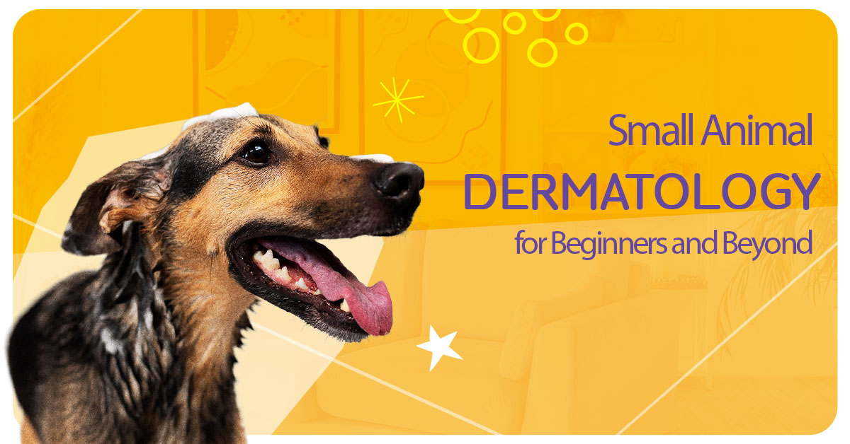 Small Animal Dermatology for Beginners and Beyond
