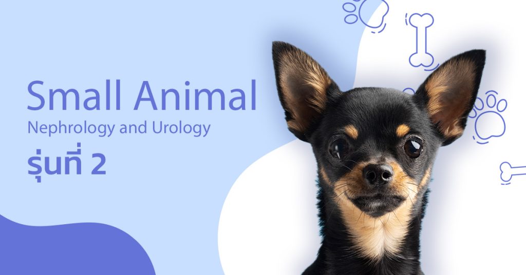 Small Animal Nephrology and Urology รุ่นที่ 2