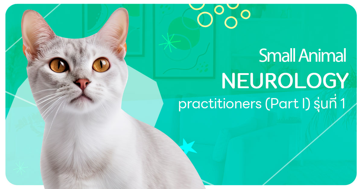 Small Animal Neurology for Practitioners (Part I) รุ่นที่ 1