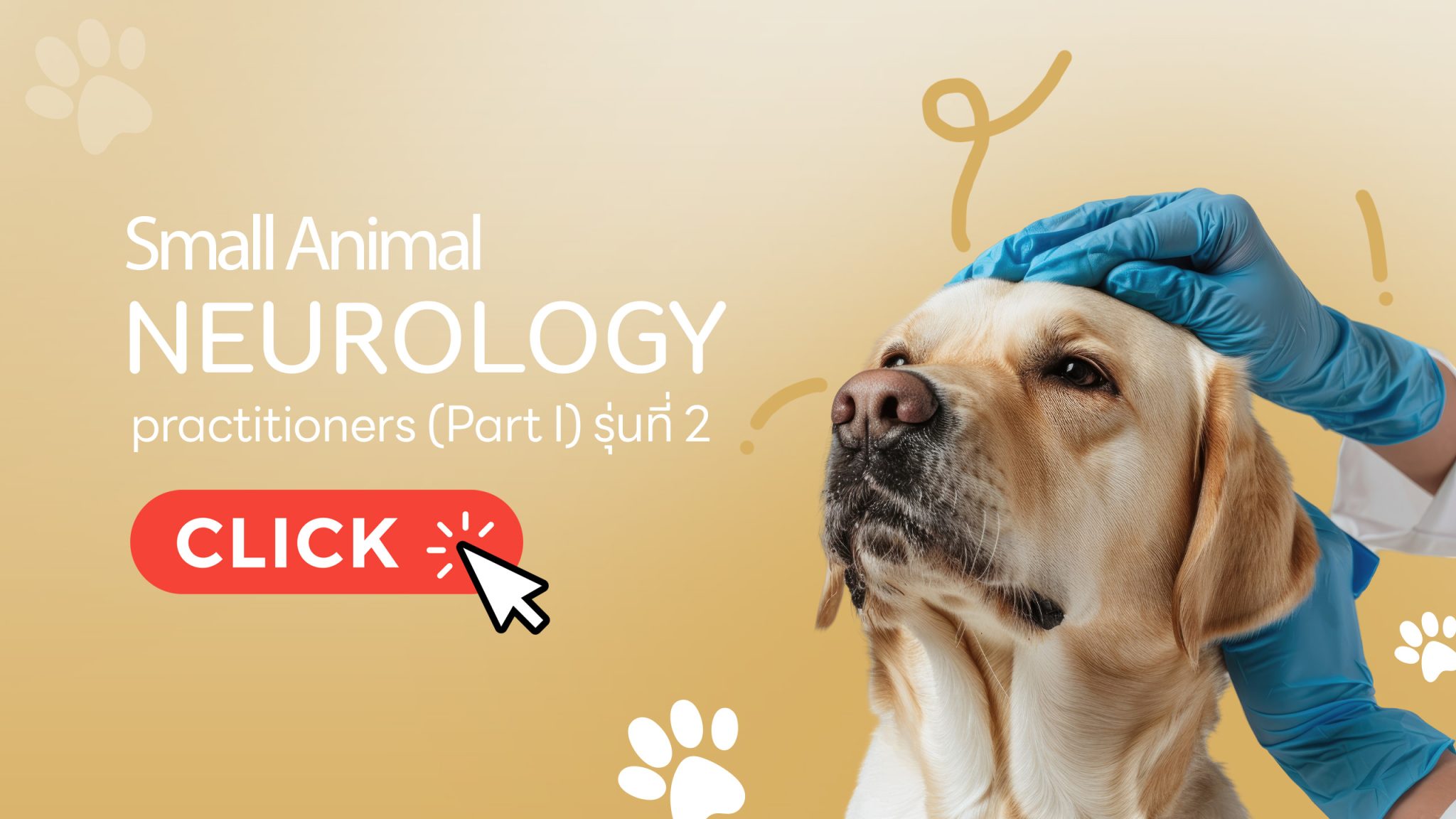 Small Animal Neurology for Practitioners — Part I